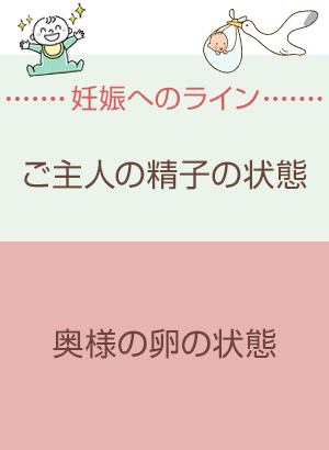 妊娠へのライン